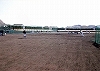 上富田スポーツセンター【野球場】